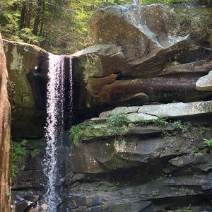 Meet your Posher, Lorina